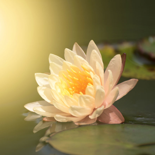 Return to your heart and move beyond fear